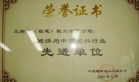 2009年中國塑料行業(yè)先進單位